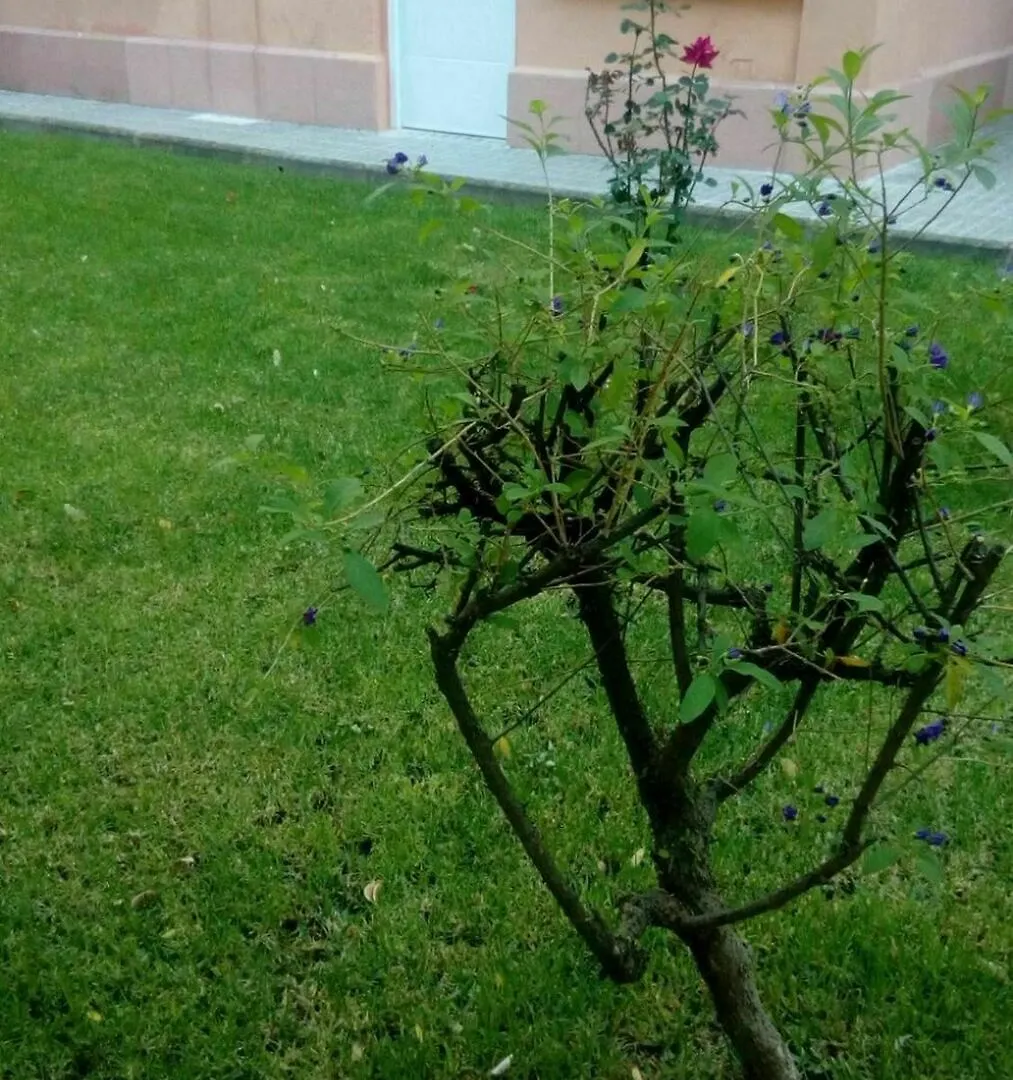Apartment With 2 Bedrooms In Salou, With Pool Access  살루